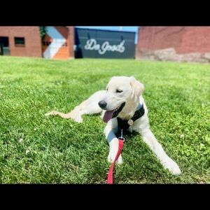 Meet your Posher, Karen